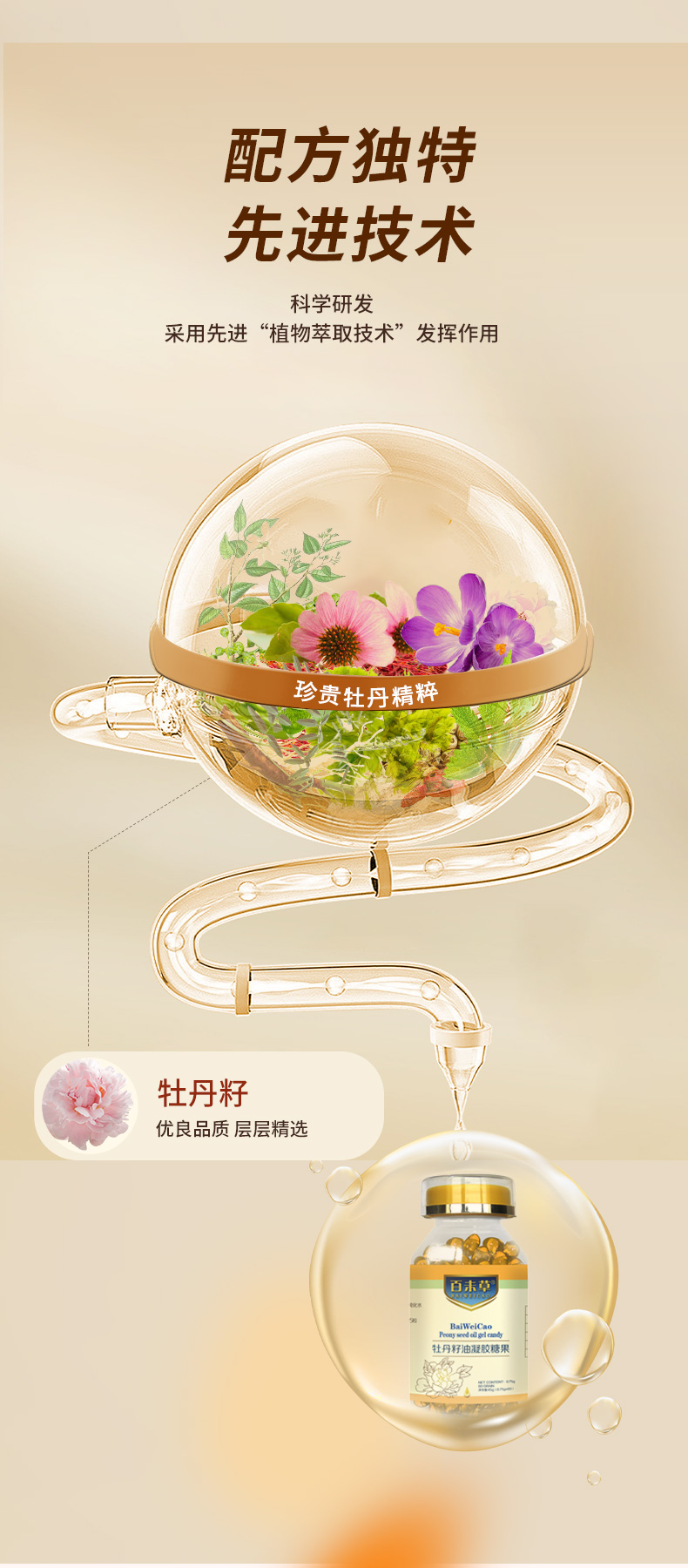 牡丹籽油凝胶糖果详情_06.jpg